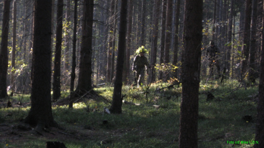 IMG_1426.jpg